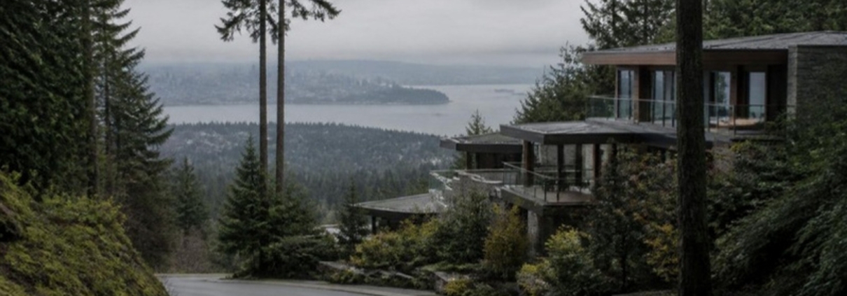Modern houses stepped down a forested hillside above a distant inlet under low cloud.