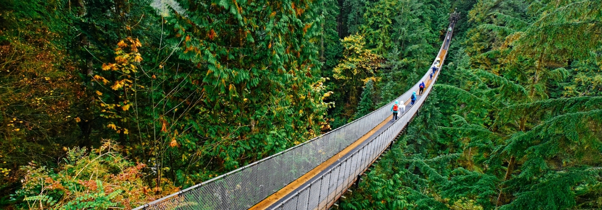 A suspension footbridge crossing a deep forested canyon.