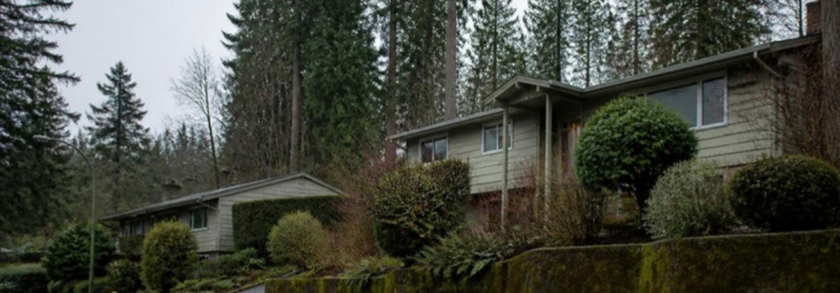A street of split-level houses on a forested hillside under tall evergreens.