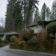 A street of split-level houses on a forested hillside under tall evergreens.