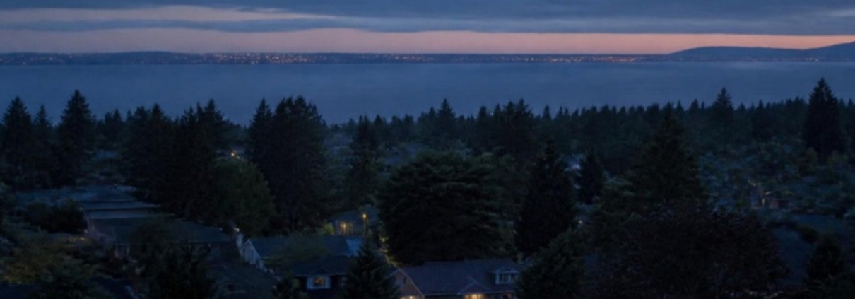 A residential hillside of detached houses and treetops at dusk.