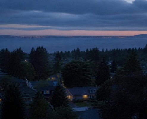 A residential hillside of detached houses and treetops at dusk.