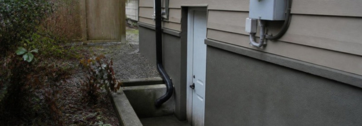 A separate basement suite entrance with its own door and concrete steps.
